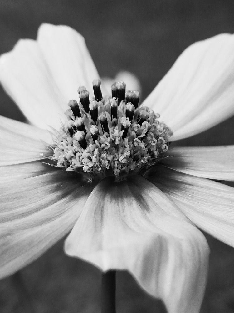 Фотография автора Bernadette Pretorius