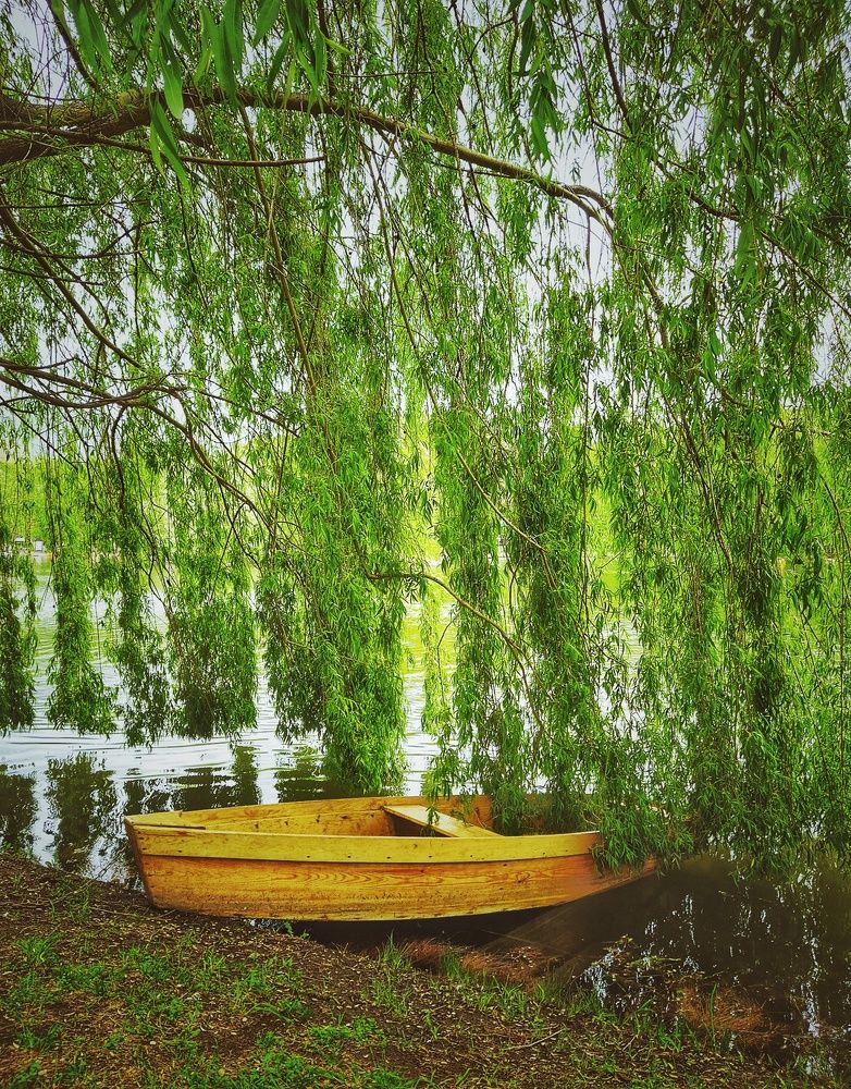 Photograph by Alina Iakovleva