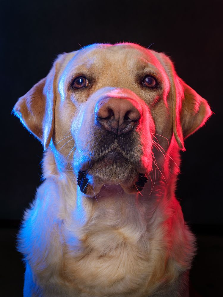 Photograph by Владимир Лиепин