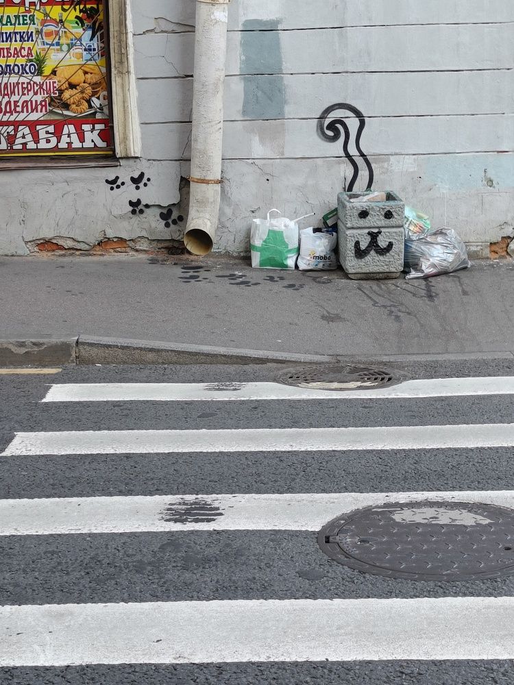 Photo #10381018