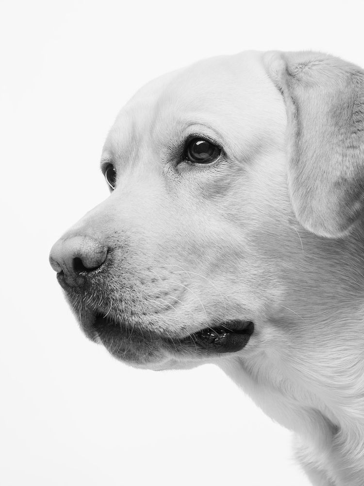 Photograph by Владимир Лиепин