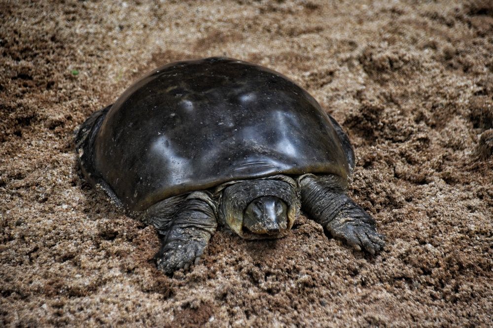 Photograph by Thariq Huzaima