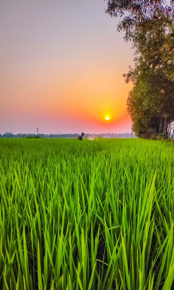 Photograph by Arindam Sahoo