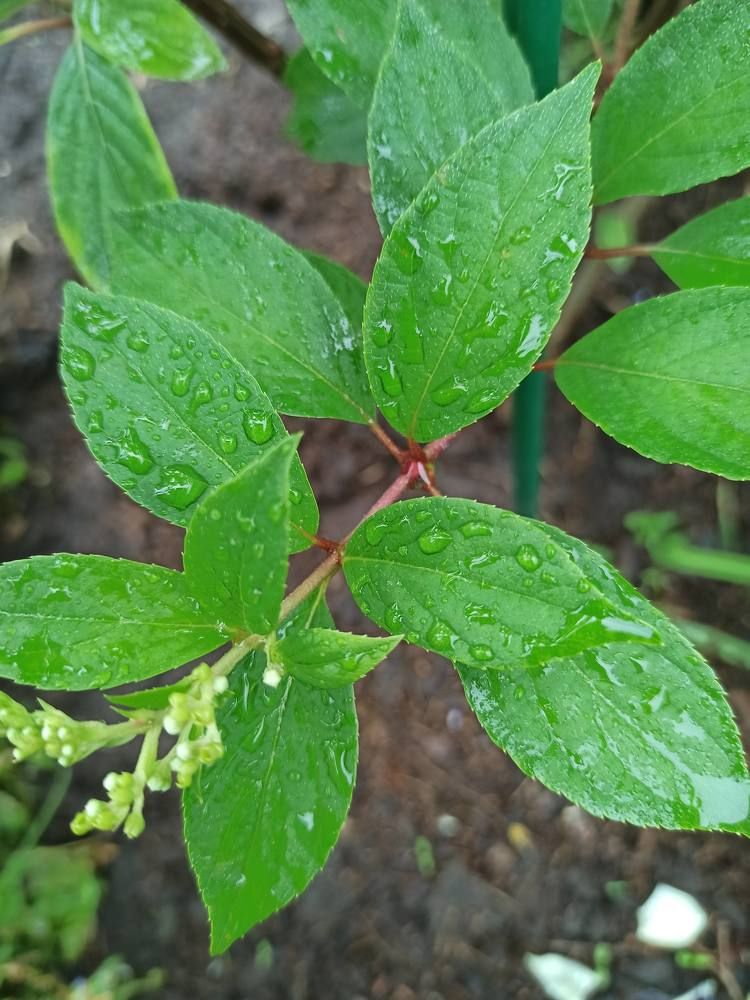 Photograph by Виктория Шереметьева