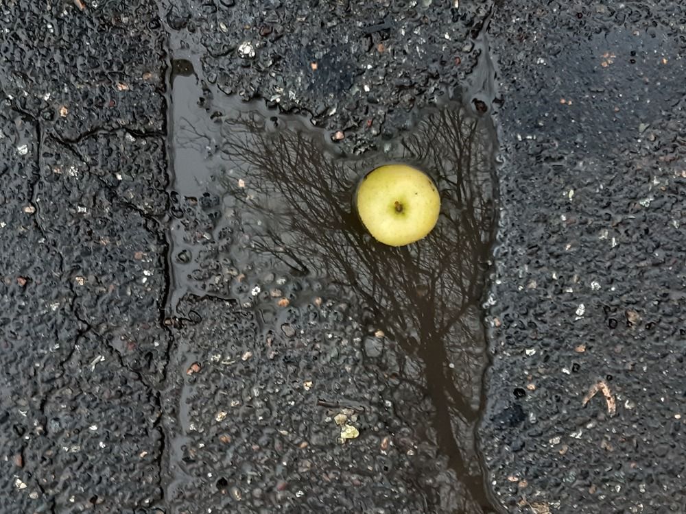 Photograph by Марина Рафаелян