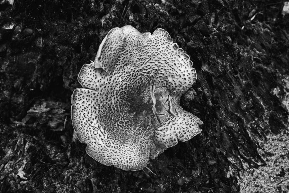 Photograph by Анна Крюкова