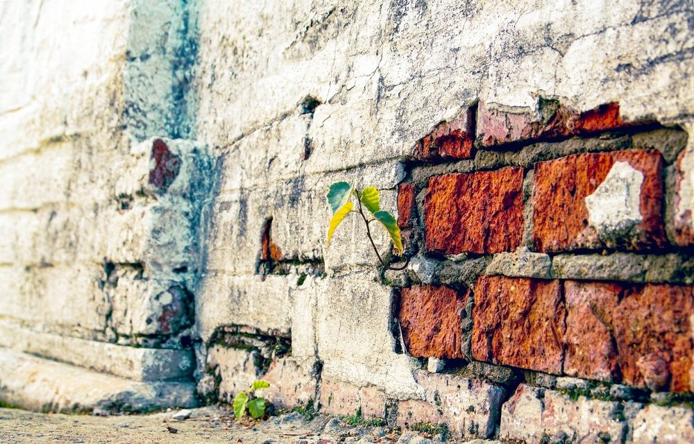 Photograph by Сергей Арямов