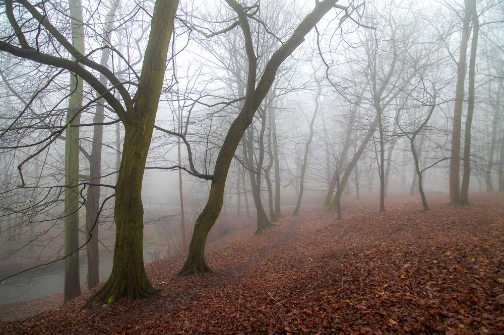 Photograph by Наталья Брюхненко