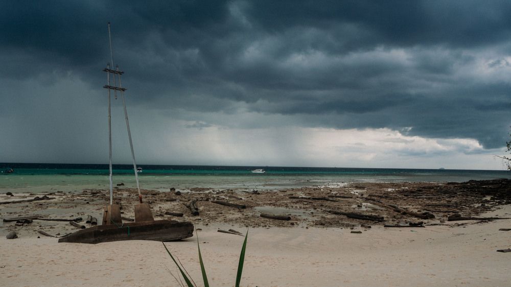 Фотография автора Елена Сайфуллина