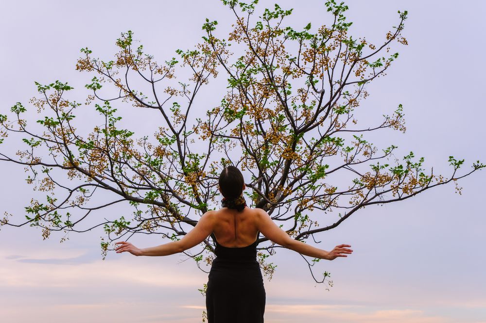 Фотография автора Manolis Soulos