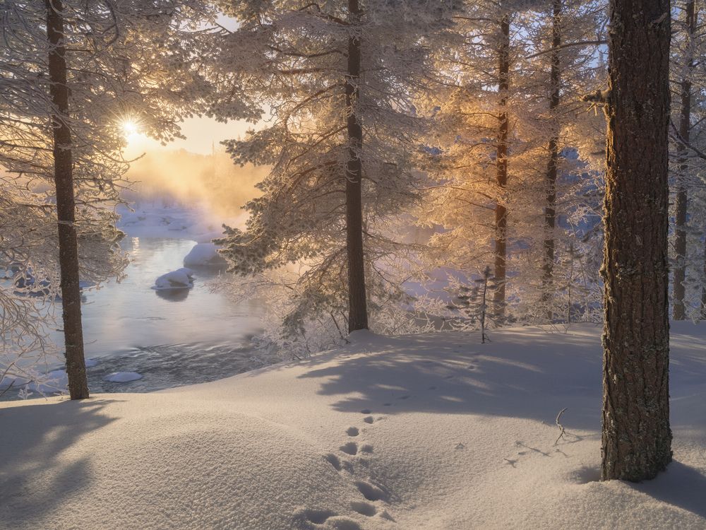 Фотография автора Dmitry Medyancev