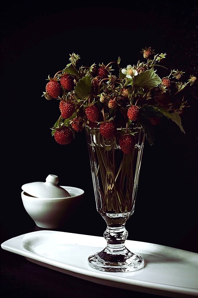 Photograph by Тимонина Ирина