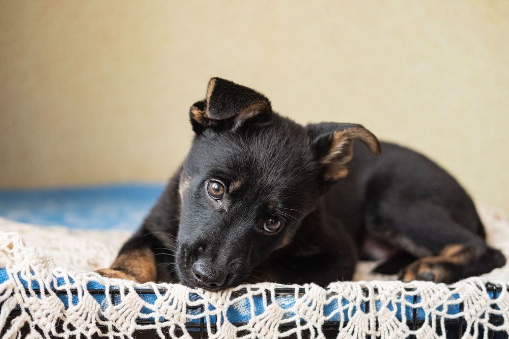 Photograph by Янина Найденцева