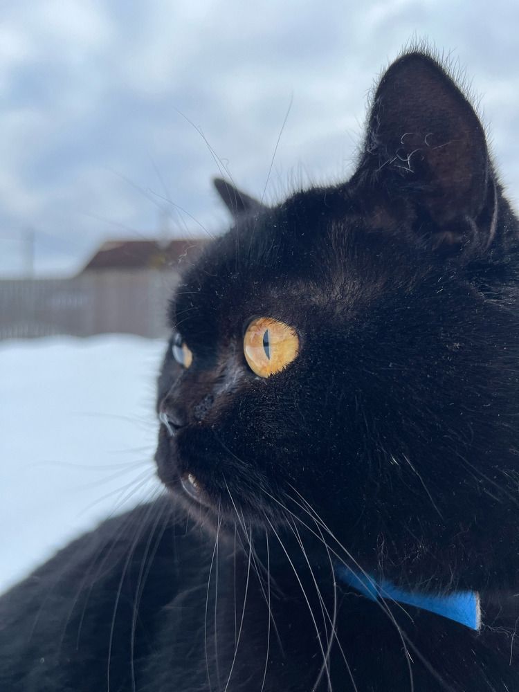 Photograph by Анна