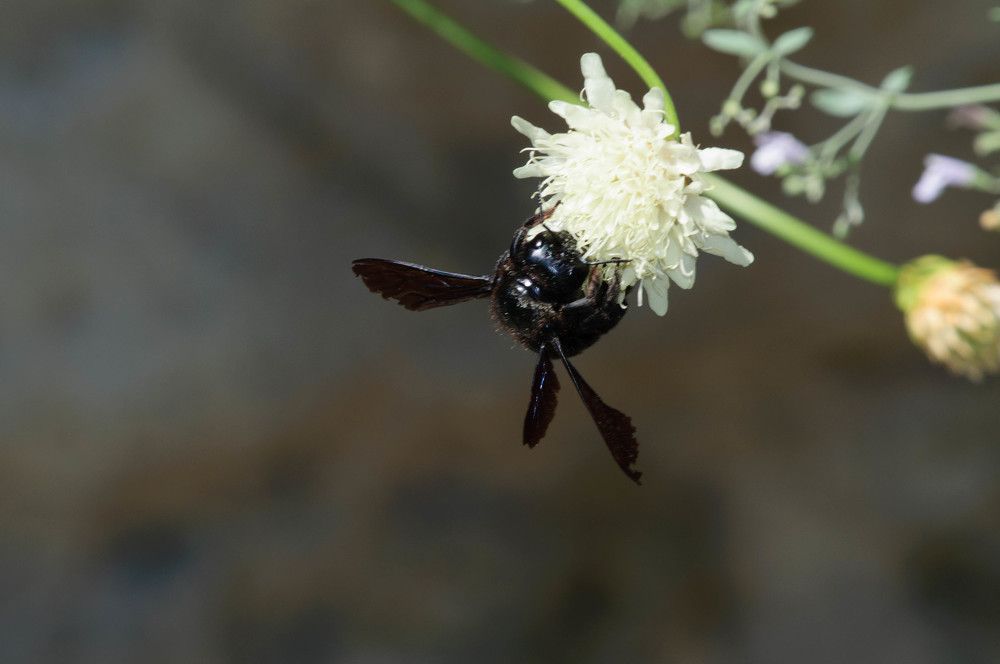 Фотография автора Мария