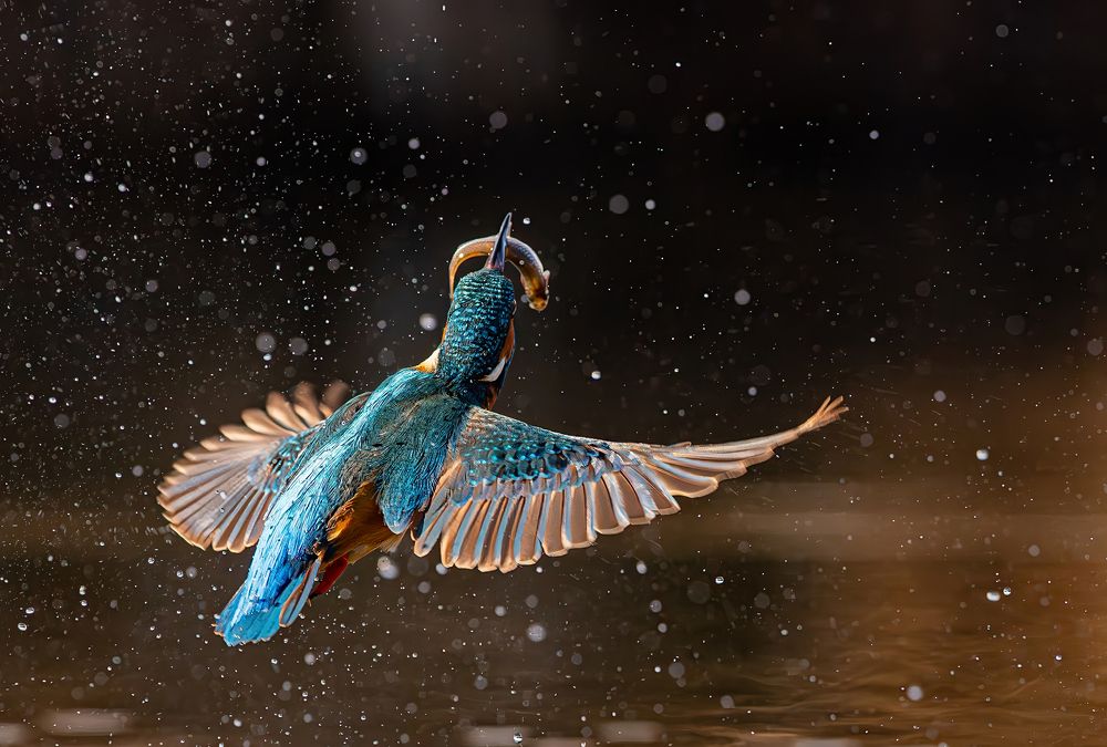 Photograph by Erika Katics