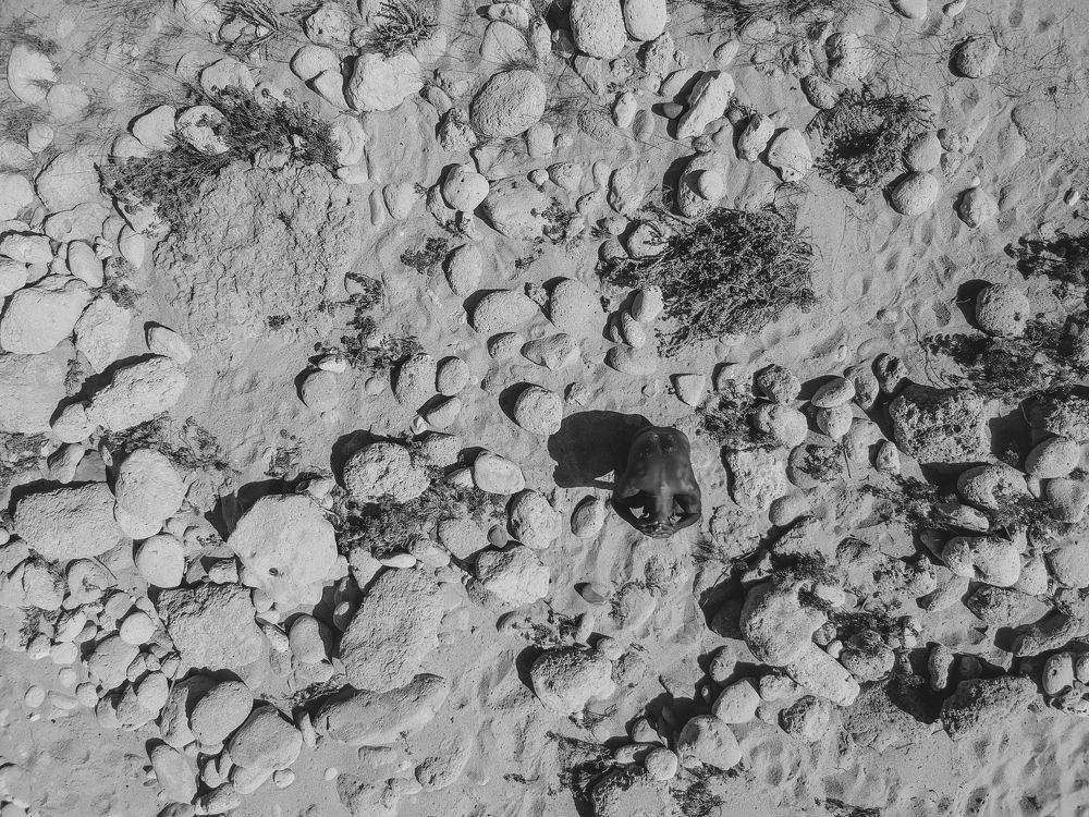 Photograph by Fábio Martins