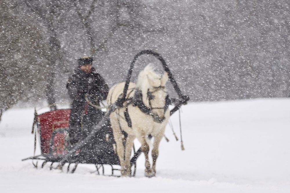 Фотография автора Mariya Belyalova