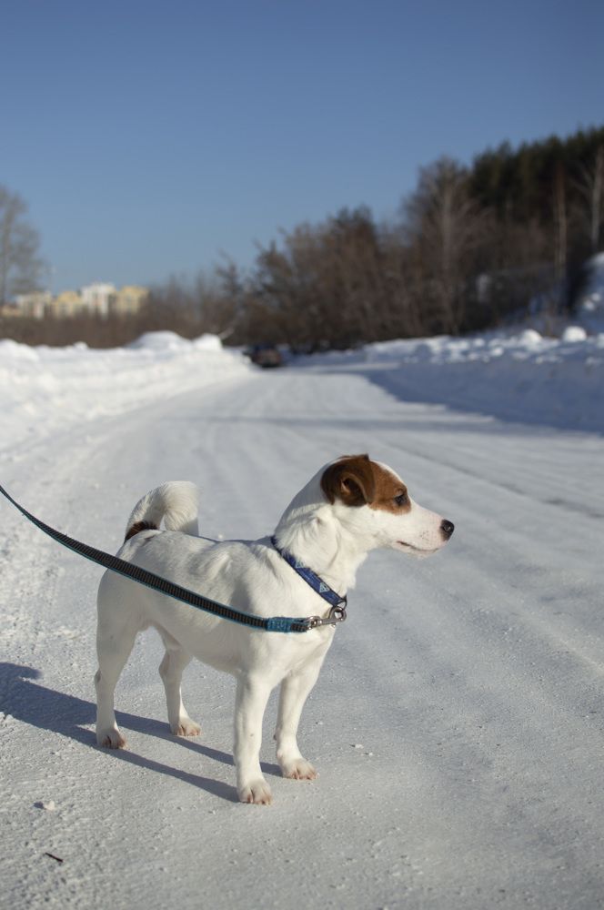 Photograph by Kristina Domanina