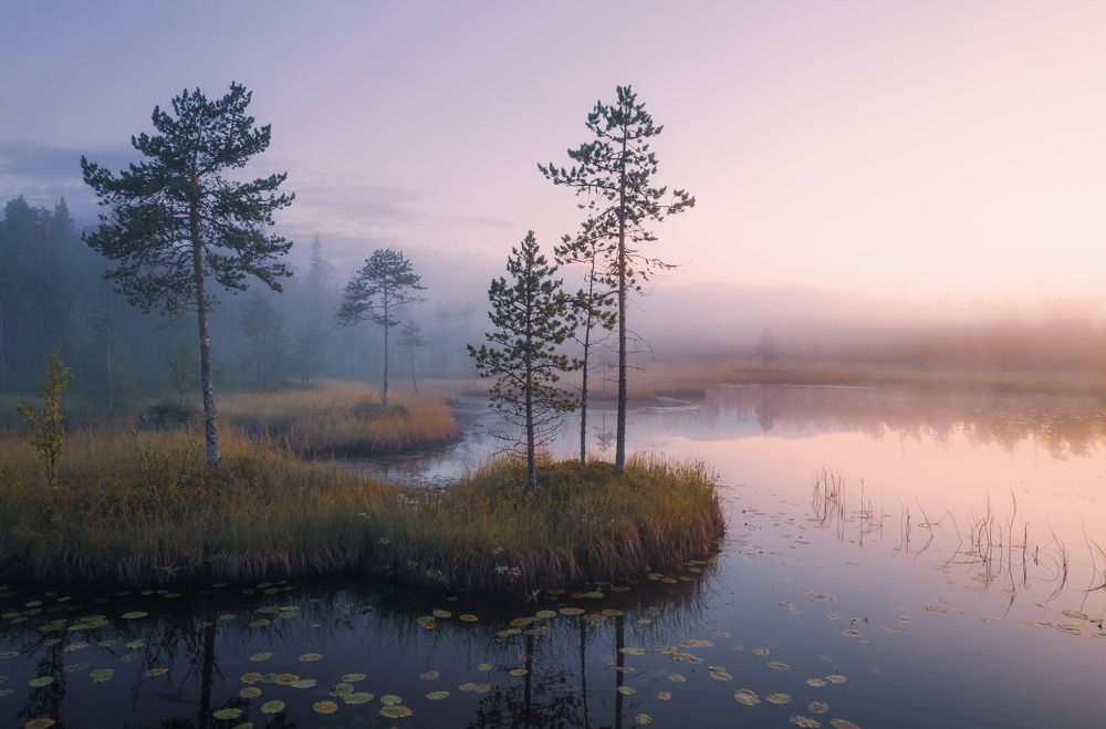 Photograph by Дмитрий Геращенко