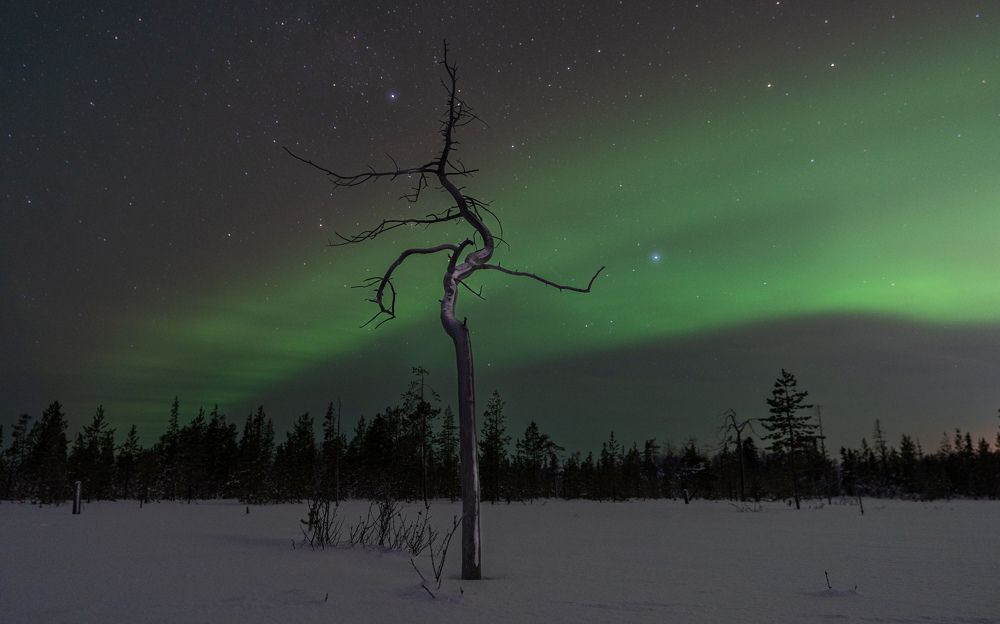 Photograph by Дмитрий Геращенко