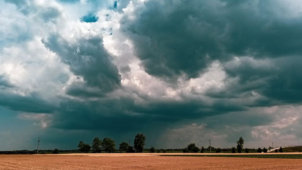 Photograph by Nóra