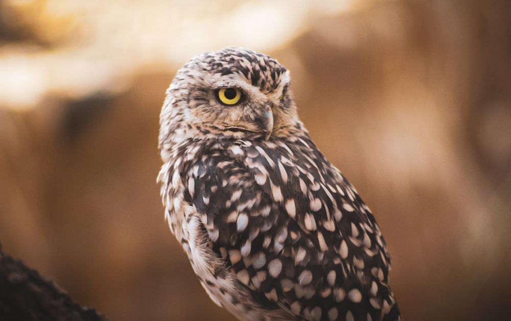 Photograph by Ioannis Graidis