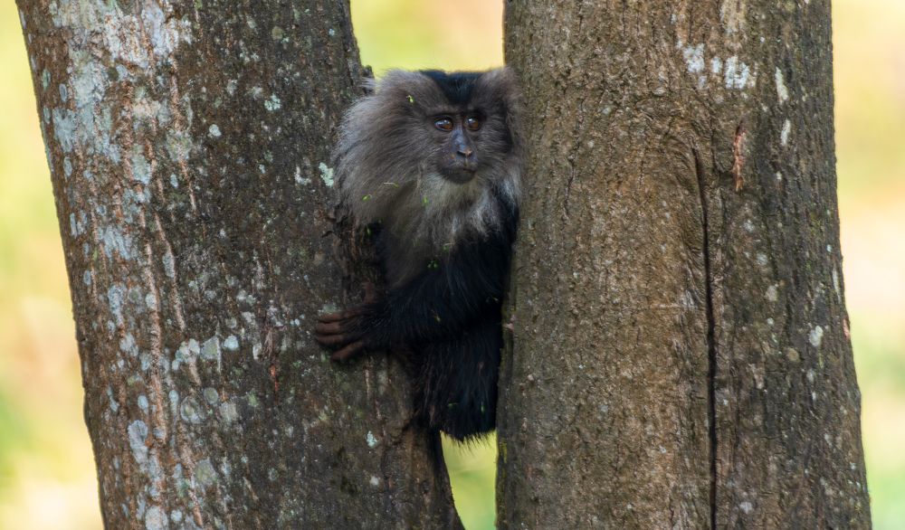 Photograph by Sabari Ganesh Sivakumar