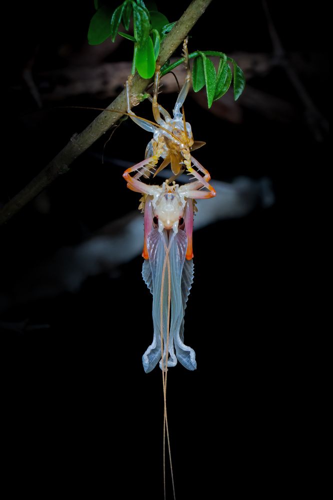 Photograph by Dhruv Shilpi