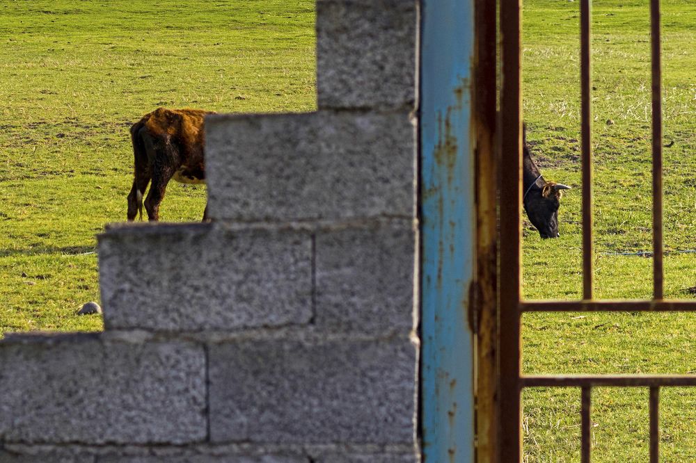 Photograph by Amirhossein Yousefi Keysari