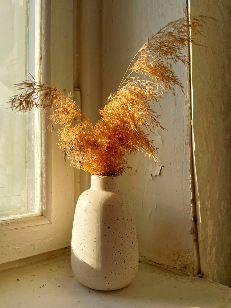 Photograph by Nadya Sterligova