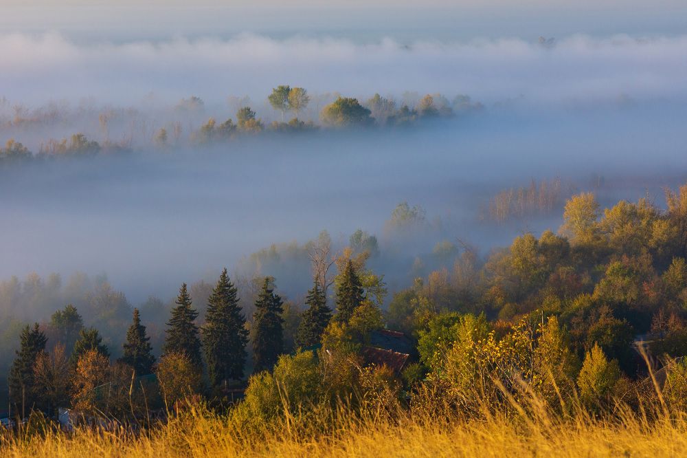 Туманный Дон