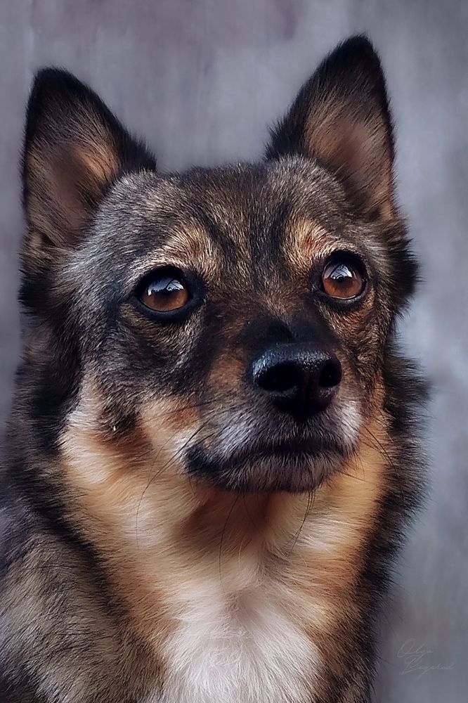 Photograph by Ольга Богорад