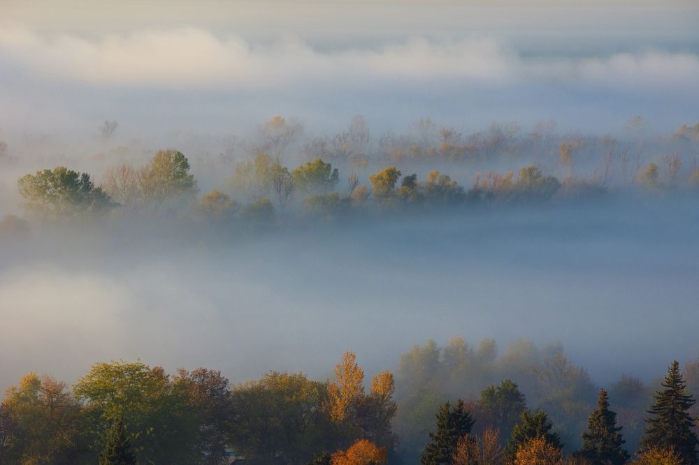В клубящейся невесомости