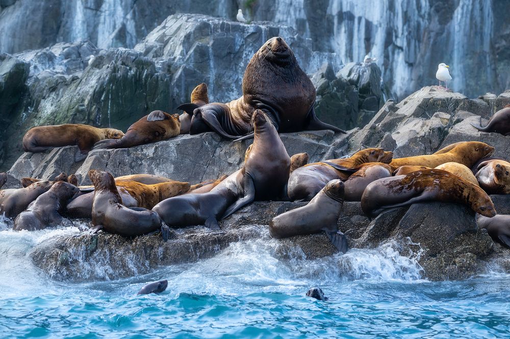 Photograph by Александр Чазов