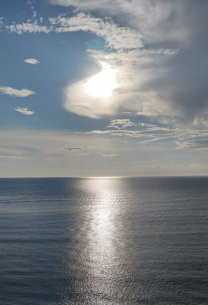 Photo #10382001