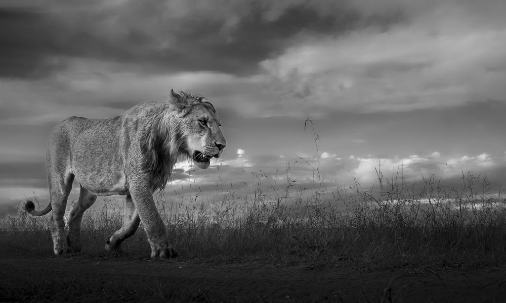 Photograph by Rémi Vacher