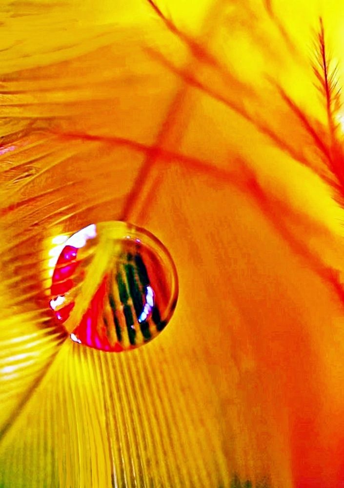 Концептуальная фотография