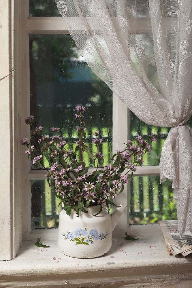 Дождливый день в деревне