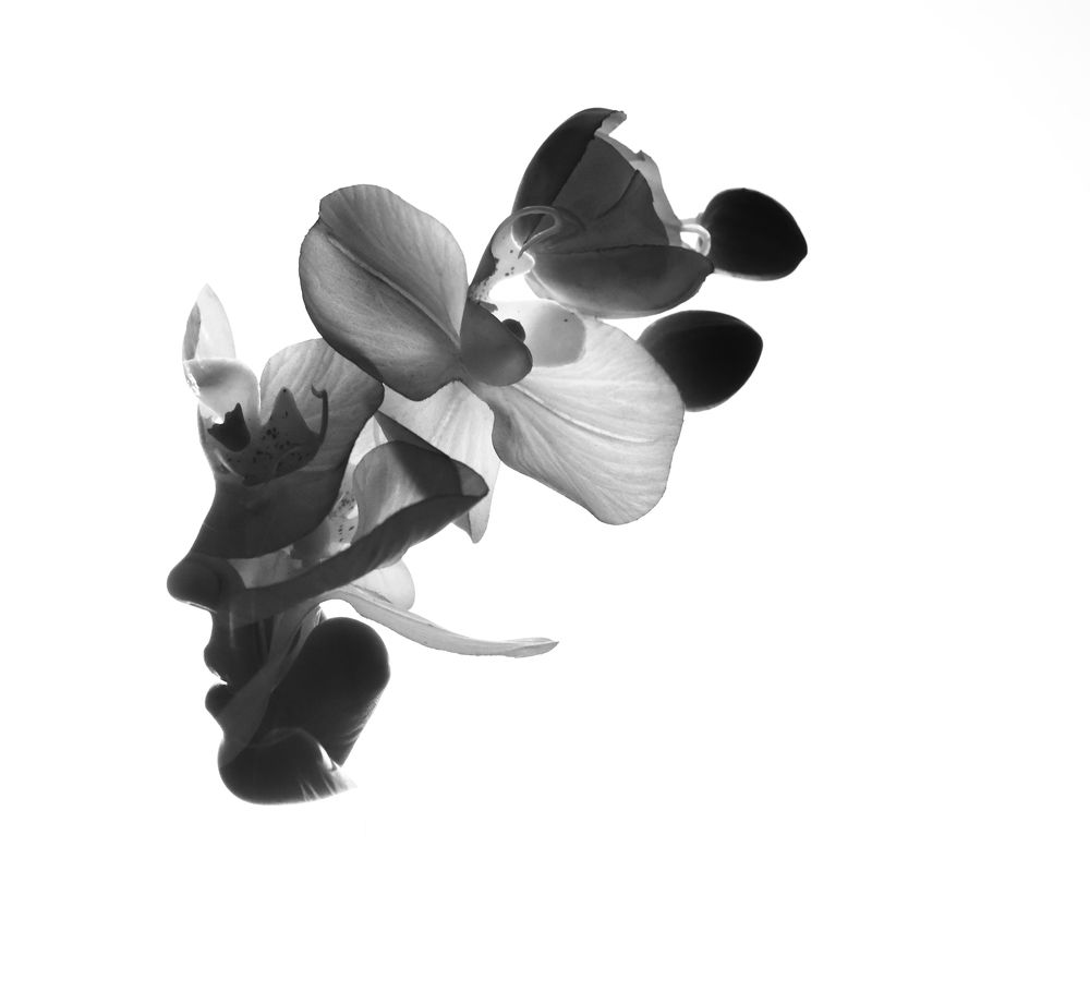 Photograph by Кемран Ширалиев