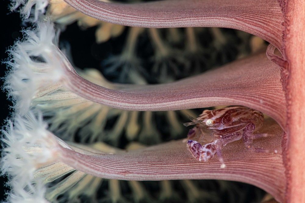 Photograph by Yi-Ping Chang