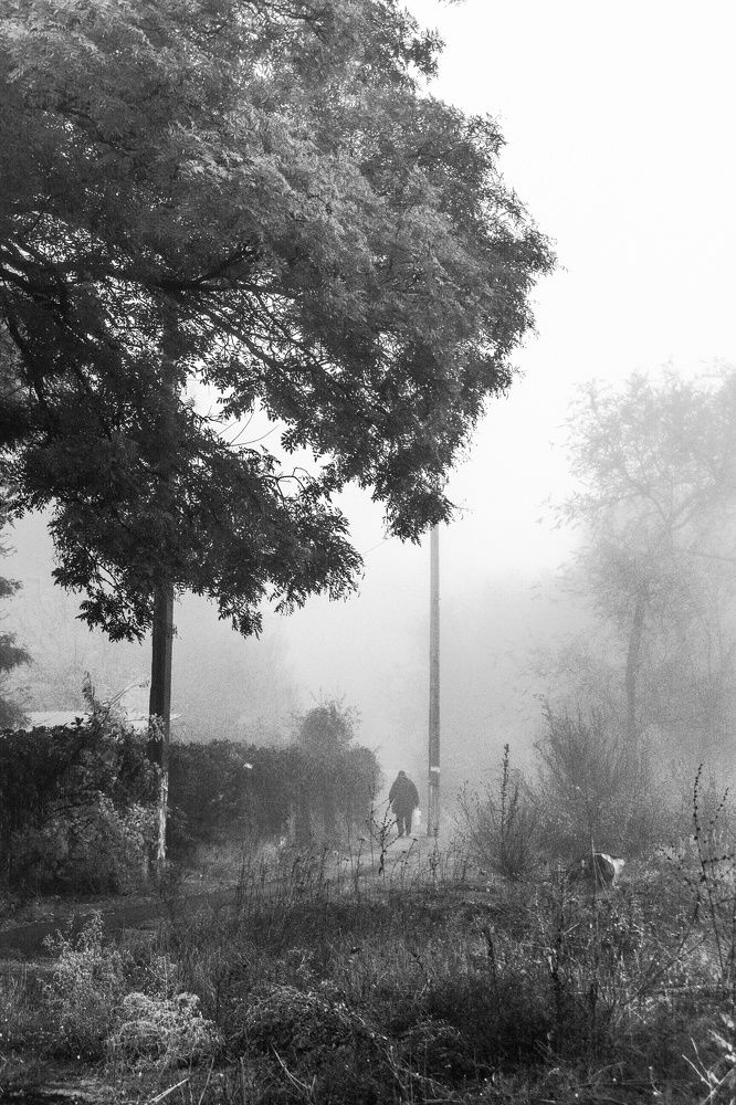 Photograph by Марина Канавченко