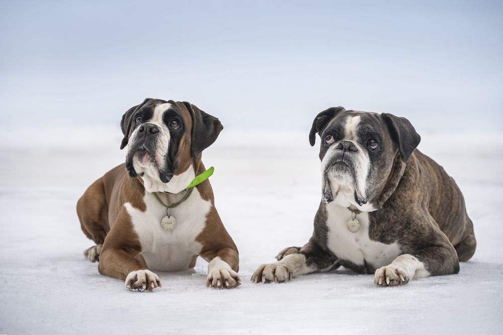 Photograph by Александра Пугачёва