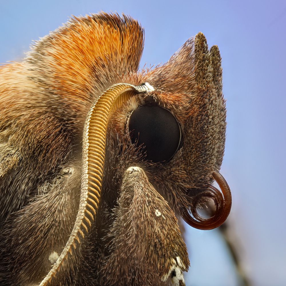 Photograph by Юрий Юрьевич