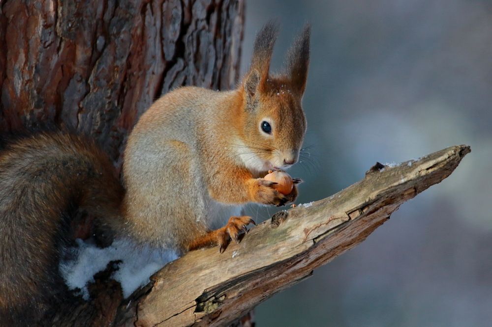 Photograph by Андрей Брагин