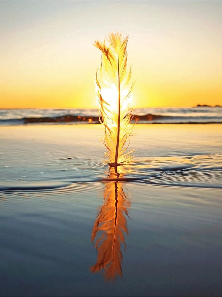 Photograph by Марина Хохрякова