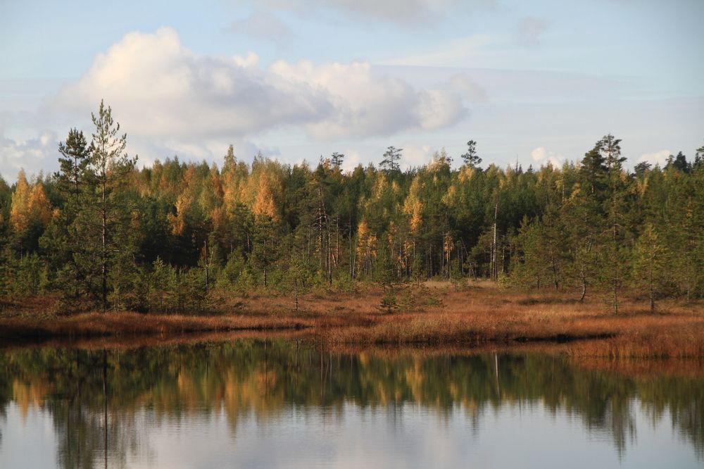 Фотография автора Анастасия Зверева