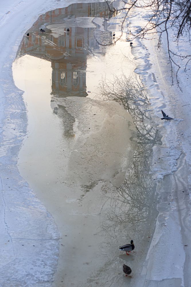 Фотография автора Andrej Myshkin
