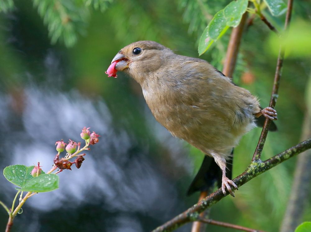 Photograph by Андрей Брагин