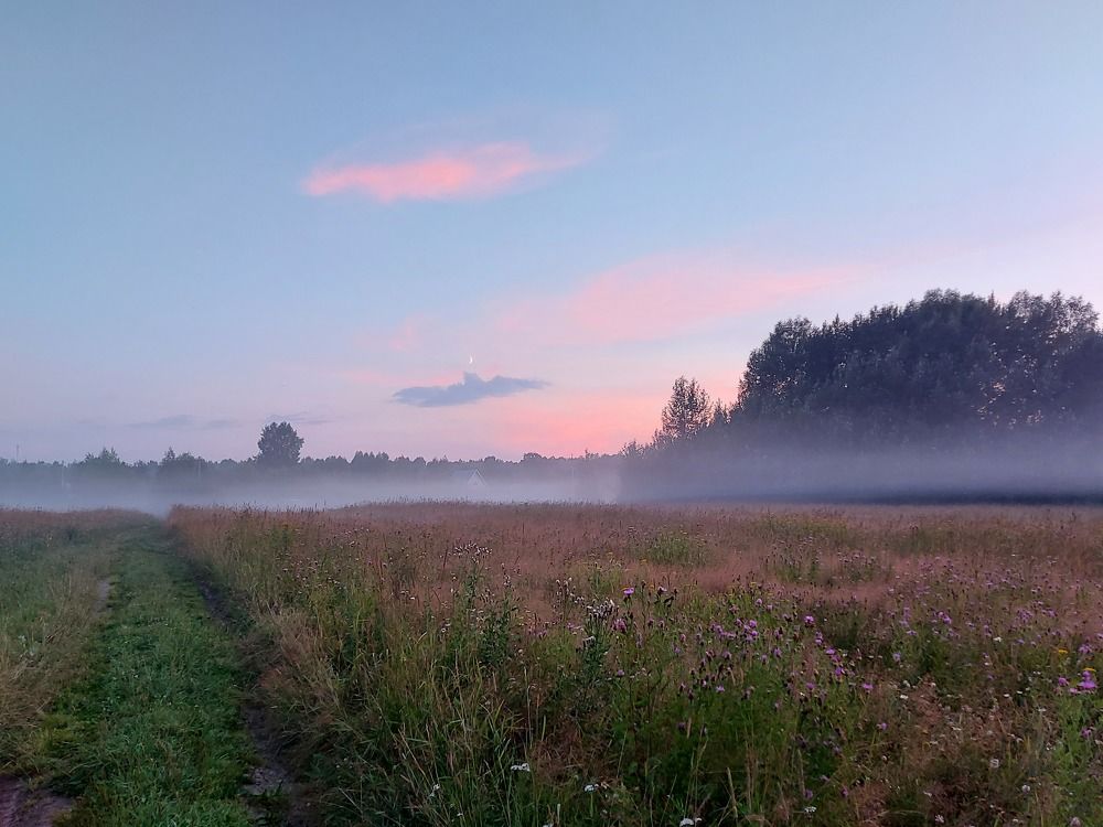Дорога в никуда